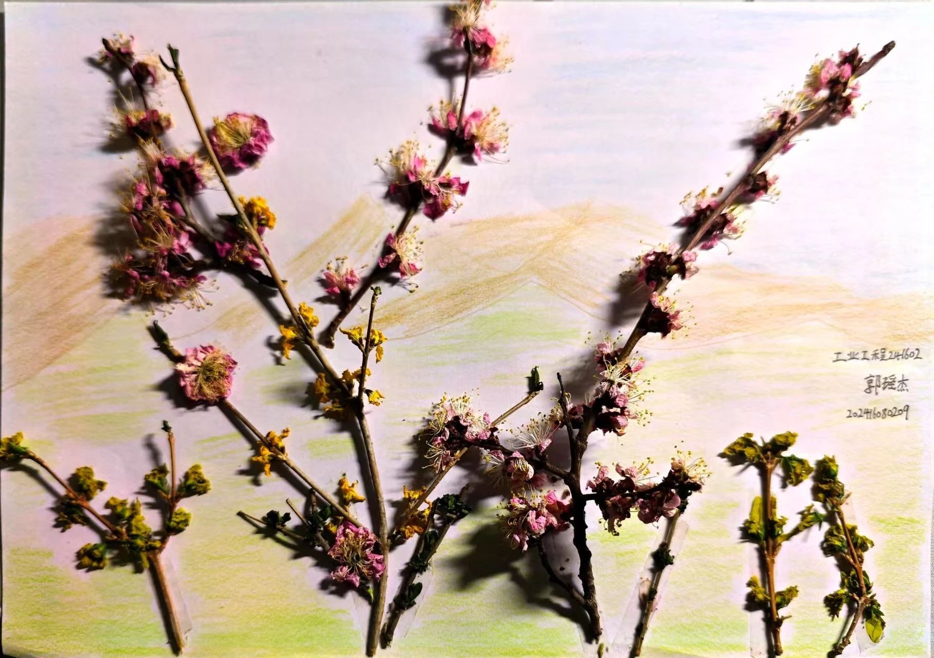 4A804
